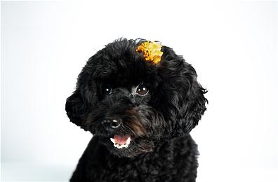 奎爷演员：我的受伤导致《战神5：诸神黄昏》跳票